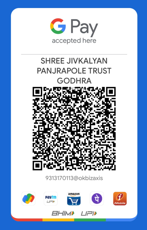 UPI / Google Pay QR code